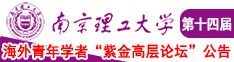 啊,好爽,大鸡吧操我视频南京理工大学第十四届海外青年学者紫金论坛诚邀海内外英才！